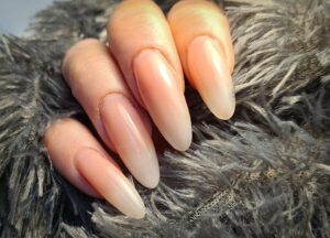 nagelsalon zuid-holland
